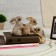 Souvenir Polystone "Friendly Zaychat" 19x23x7.5 cm