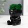 Concrete Kashpo "Mr. Evil" with moss 7*6cm black (moss green stabilized)