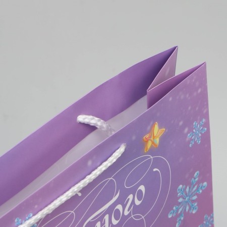Laminated vertical "Magic" package, l 28 x 38 x 9 cm, new year-3