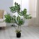 Artificial tree "acacia" in a pot, 90 cm