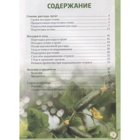 Cucumbers. Rich harvest without errors-1