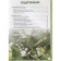 Cucumbers. Rich harvest without errors