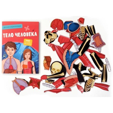 Interactive children's encyclopedia with magnets "Human Body" (in the box)-3