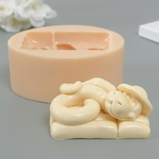 Mold Silicon 