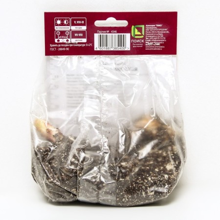 Lilia Asian corsage, 14/16 rr, 2 pcs. 80 h (cm), autumn 2024-1