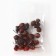 Tea drink "Rosehip" Fruits, 20 g.