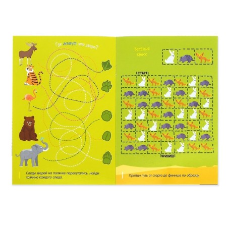 The reusable book with the marker "Labyrinths and Confusion", 12 p.-2