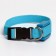 The collar luminous narrow for small dogs, 26 x 1.5 cm, blue