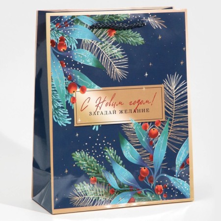 Laminated vertical package “Make desire”, MS 18 x 23 x 8 cm, New Year