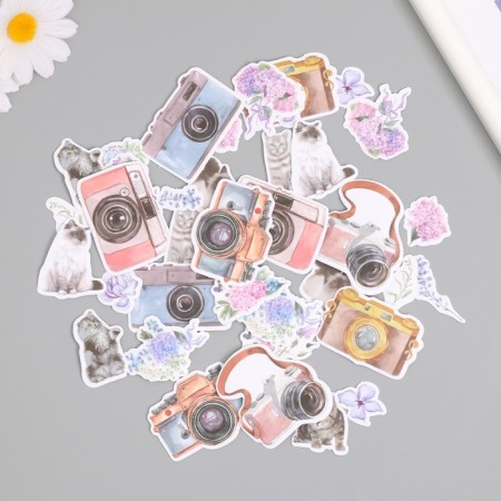 Stickers for creativity "Cats, flowers and photos" 3.5x5 cm set 40 pcs 9.4x8.4x0.5 cm-3