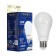 LED LED Tokov Electric, 20 W, A60, 3000 K, E27, 176-264V