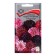 Semen of scabiose flowers dark-purple broken heart, 10pcs