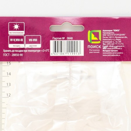 Liatris Kolskovy Blue, 10 pcs, rr 8/10, Spring 2025-1