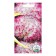 Flower seeds Astra Pionovid "quartz tower", 0.2 g