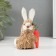 Souvenir "Sweet bunny with carrots" 8x4.7x12.3 cm