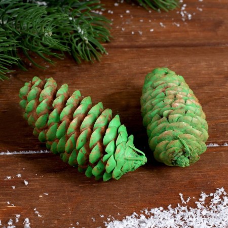 Set of spruce cones "Decor" 2 pcs., Green-1
