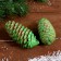 Set of spruce cones "Decor" 2 pcs., Green