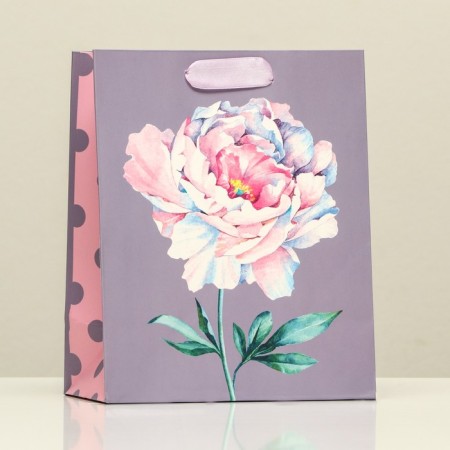 Gift packet "Pion", 18 x 22.3 x 10 cm