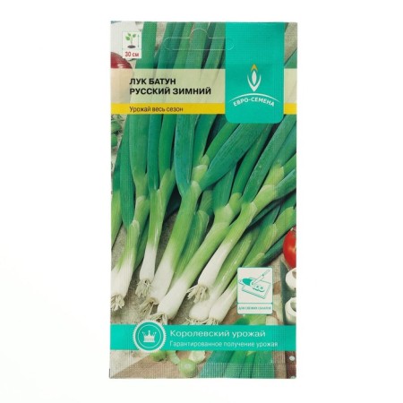 Semen onions "Russian" Winter Batun, 1 g-2