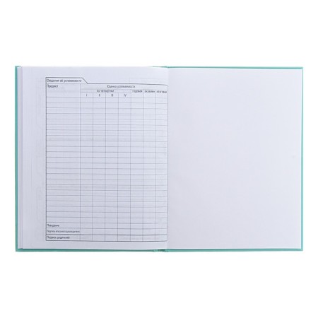 Universal diary for grades 1-11 of "Fragile tenderness", solid cover, glossy lamination, sparkles, 40 sheets-8