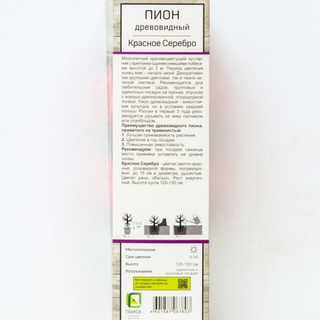 PION tree (vaccinated on grassy) "red silver", 1 pc, tube, spring 2025-1