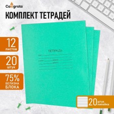 A set of notebooks of 20 pieces, 12 sheets in the line of the Green Cover PDA, block No. 2, whiteness 75% (gray sheets)