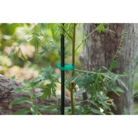 Tapener for garter plants Tapetool "B", tape 25 m + brackets, Greengo-7