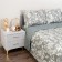 A set with a blanket duet Sofi de Marko "Massimo", size 230x250 cm, 150x220 cm - 2 pcs, 50x70 cm - 2 pcs