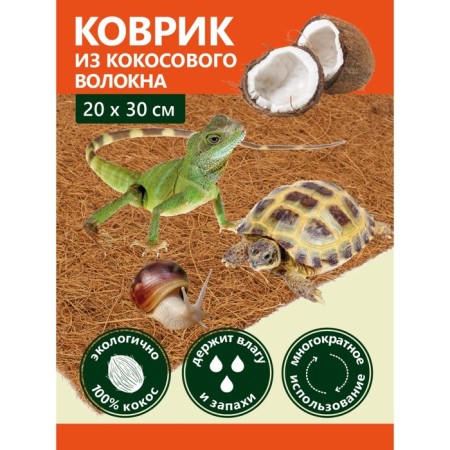 Garden Show Coconut fiber rug, 20x30 cm-4