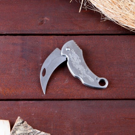 Knierambit "Dragon" 14.5cm, blade 65mm/2mm, silver-1