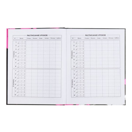 School diary for grades 1-11, 48 sheets "Rabbit Graffiti", hard cover, matte lamination, universal cheat sheet, block 65g/m2-6