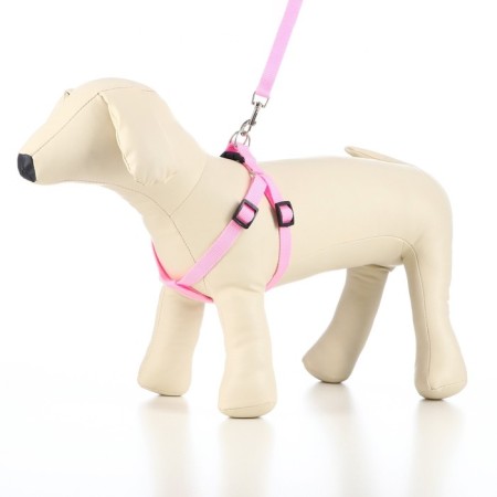 Set "Basis", leash 120 x 1.5 cm, OG 32-46 cm, pink-5
