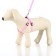 Set "Basis", leash 120 x 1.5 cm, OG 32-46 cm, pink
