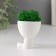 Kashpo concrete mini "Mr. Green" Mizaru with moss white 5.5x6.5x6.5 cm (moss green. Stabil.)