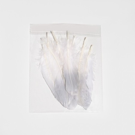 Feathers for decor, silver partial color, 13-15 cm 10 pcs-4