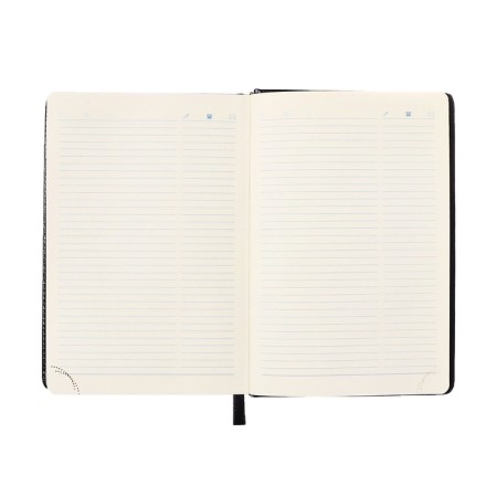 Dated diary 2024, A5, 168 sheets in the ruler, the leatherette "Nebraska", gold cut, black-12