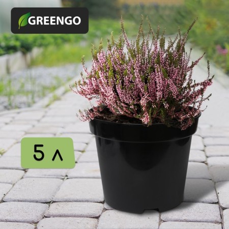 Pot for seedlings, 5 l, d = 22 cm, h = 18 cm, black, greengo