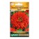 Seeds of zinnia elegant "bronze sunset", 10 pcs