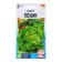 Seeds Greens "Salad Beijing", 0.5 gr.