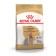 Dry food RC Yorkshire Terrier Adult, 7.5 kg