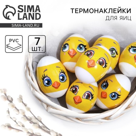 Thermonacles for 7 eggs "Cerebelles of the Muzzle", 7.3 x 34.2 cm.