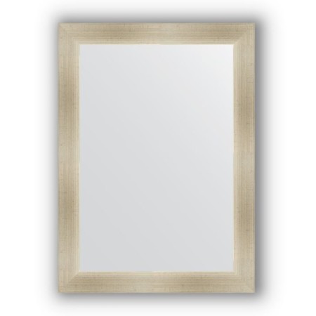 Mirror in the baguette frame - Half silver 59 mm, 54 x 74 cm, EvoForm
