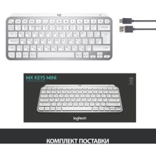 Keyboard Logitech MX Keys Mini Silver/White USB wireless BT/Radio LED (920-01050 107890