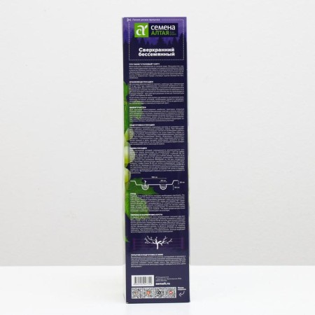 Grape seedling Superranced Bessemankary Spring 2024, 1 pc.-1
