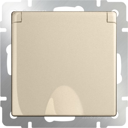 Moisture-proof socket WL11-SKGSC-01-IP44, Shampan