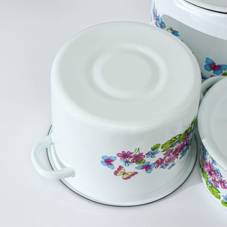 Set of pan “violet”, 3 subjects: 2 l, 3.5 l, 5.5 l, enameled covers, induction, color mix-2