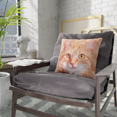 Decorative pillow "Ryzhik"-1