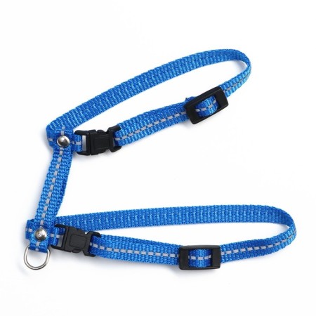 Cat for cats, width 1 cm, reflective, Osh 16.5-27 cm, fire 21-35 cm, blue-2