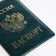 Cover for passport, green color