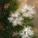 Brongs for the decor "Snowflakes" silver, 6 pcs.